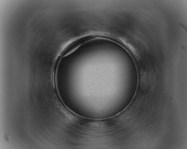 X0000091861272200709121323