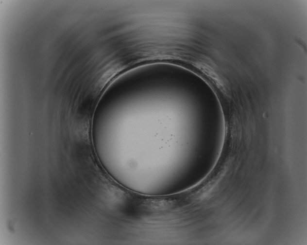 X0000091861273200709121323