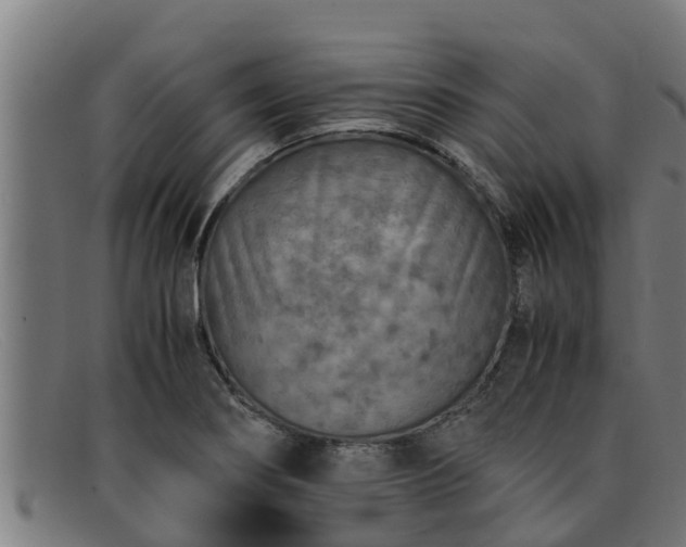 X0000091861274200709121323