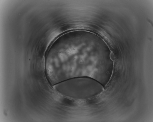 X0000091861275200709121323