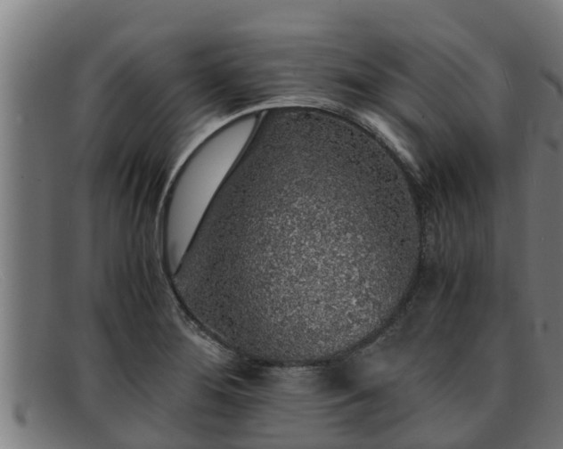 X0000091861276200709121323