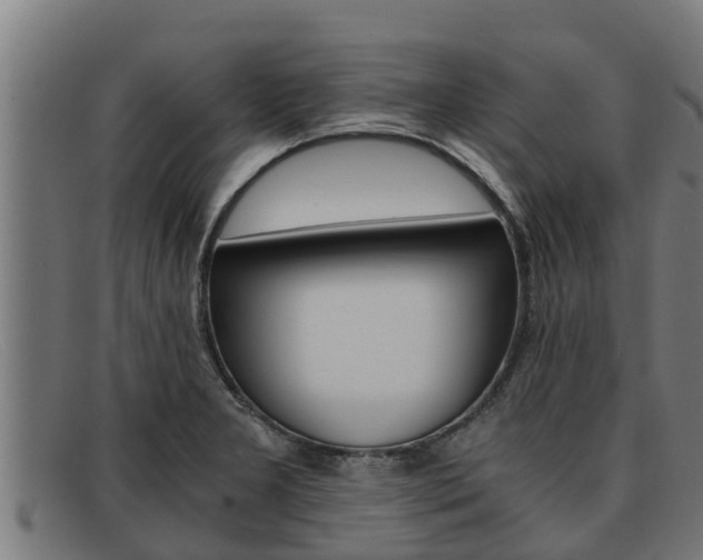 X0000091861277200709121323