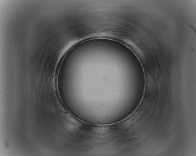 X0000091861278200709121323