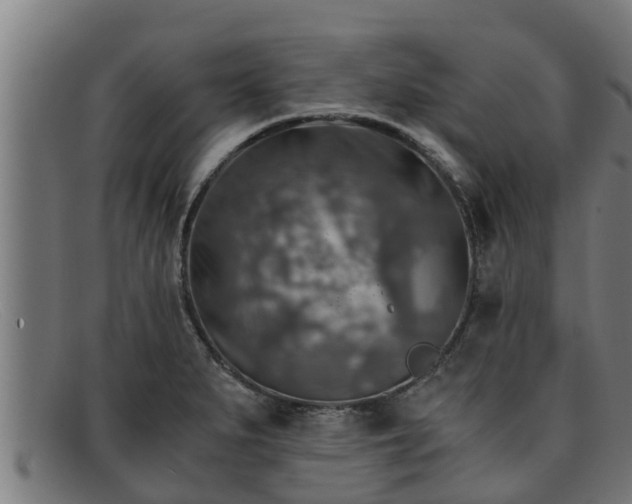 X0000091861279200709121323