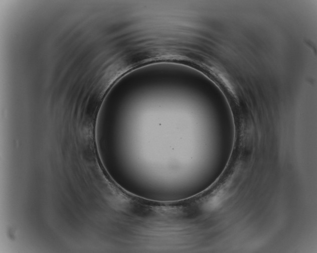 X0000091861281200709121323