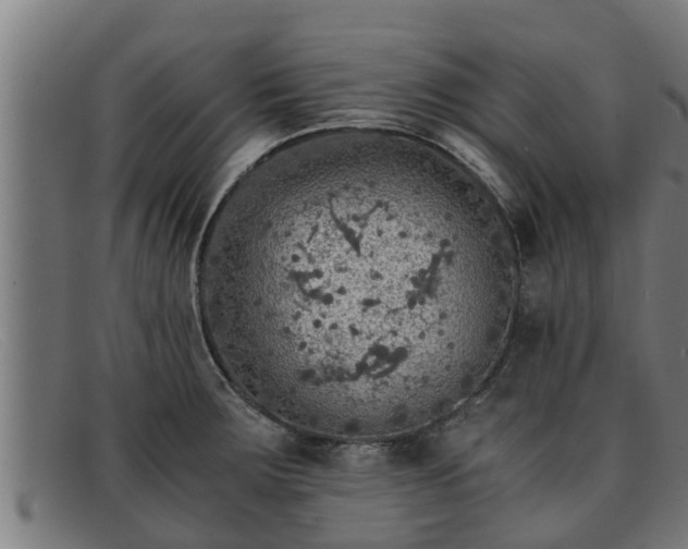 X0000091861283200709121323