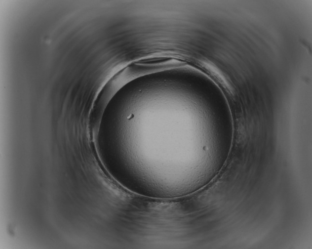 X0000091861284200709121323