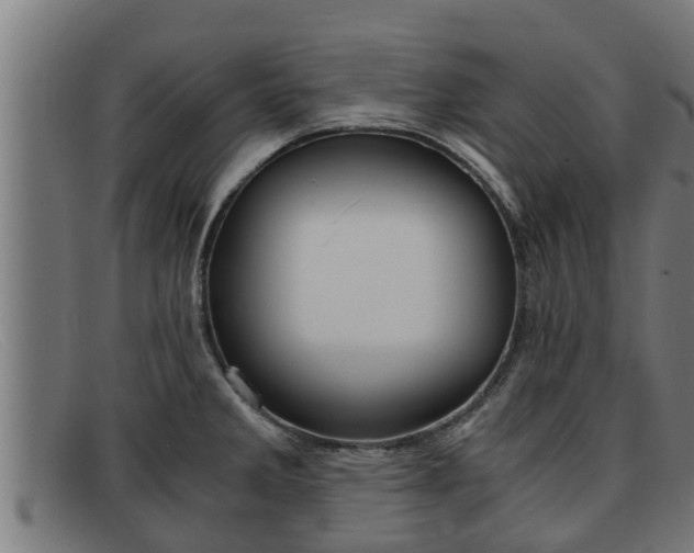 X0000091861285200709121323