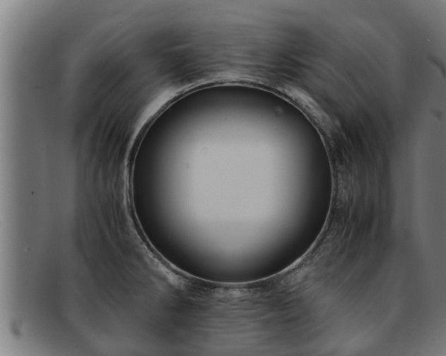 X0000091861286200709121323