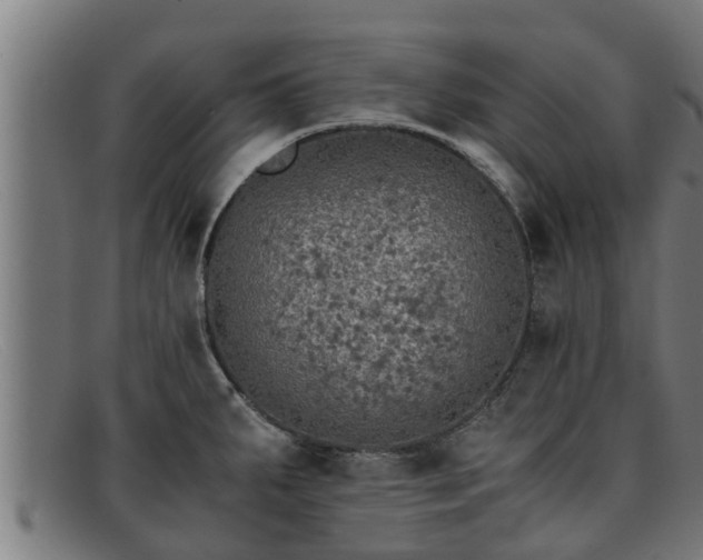 X0000091861287200709121323