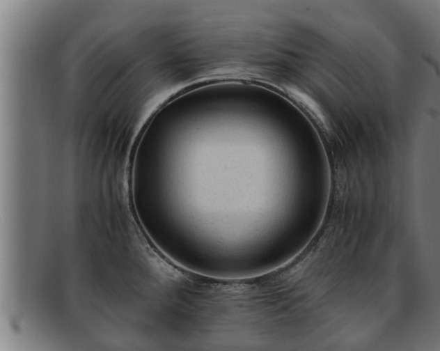 X0000091861288200709121323