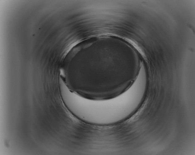 X0000091861289200709121323