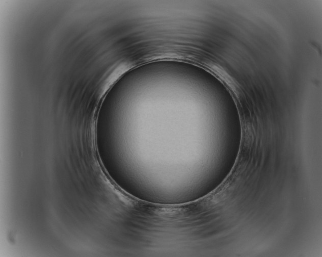 X0000091861290200709121323