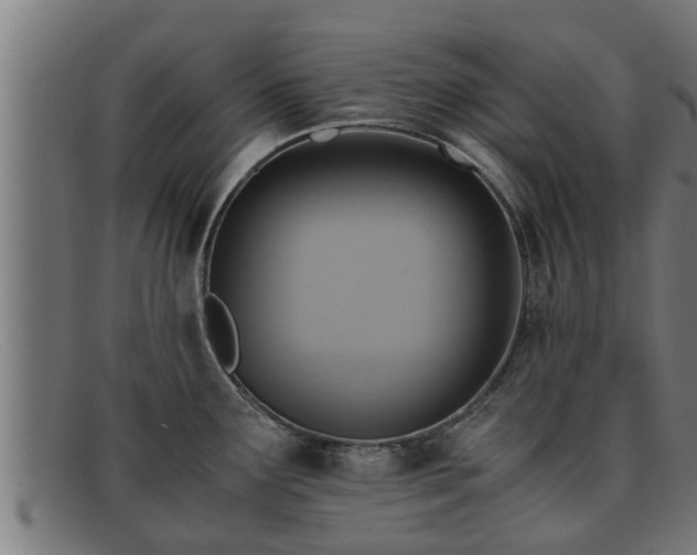 X0000091861291200709121323