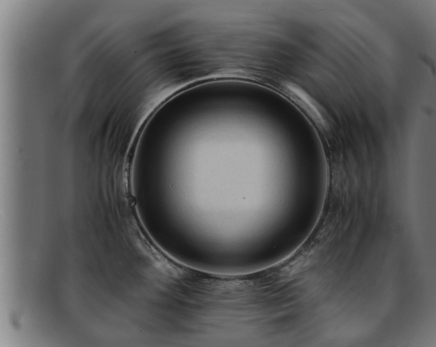 X0000091861292200709121323