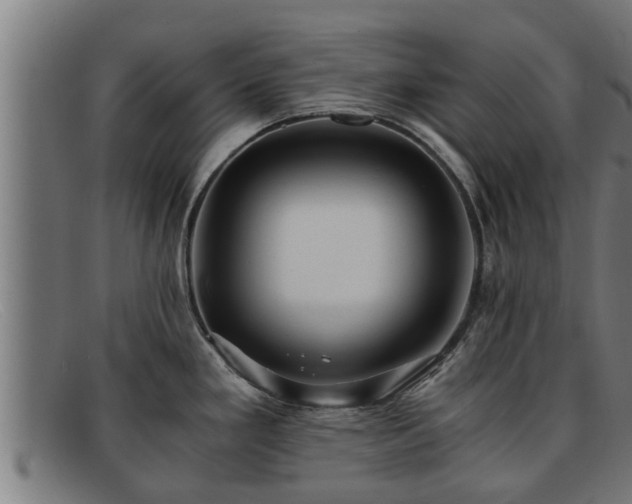 X0000091861293200709121323