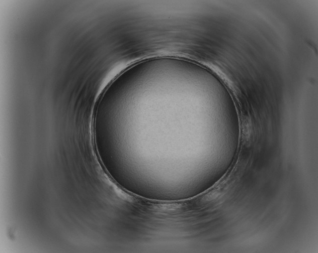 X0000091861294200709121323