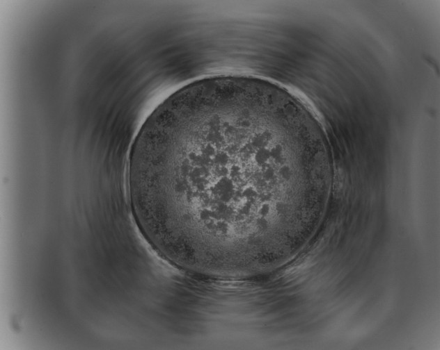 X0000091861295200709121323