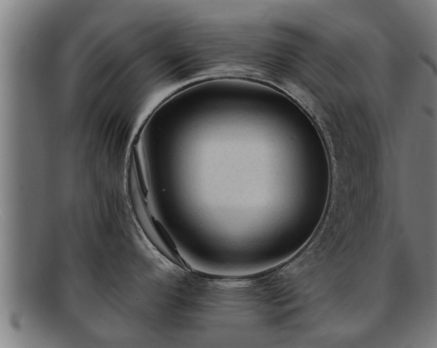 X0000091861296200709121323