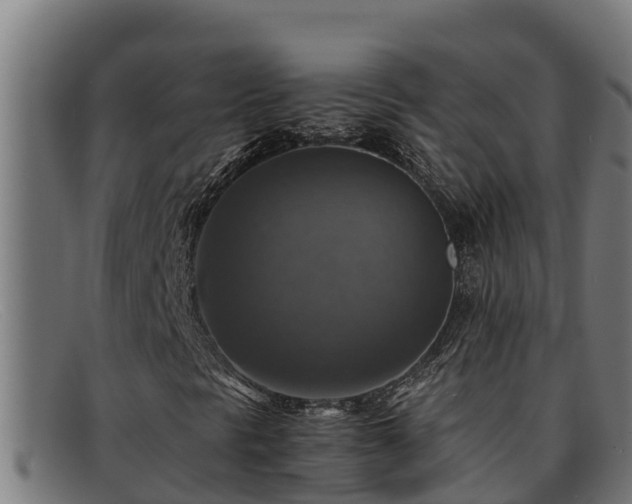 X0000091861297200709121322