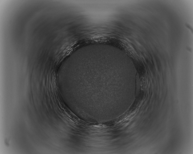 X0000091861298200709121322