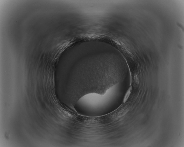 X0000091861300200709121322