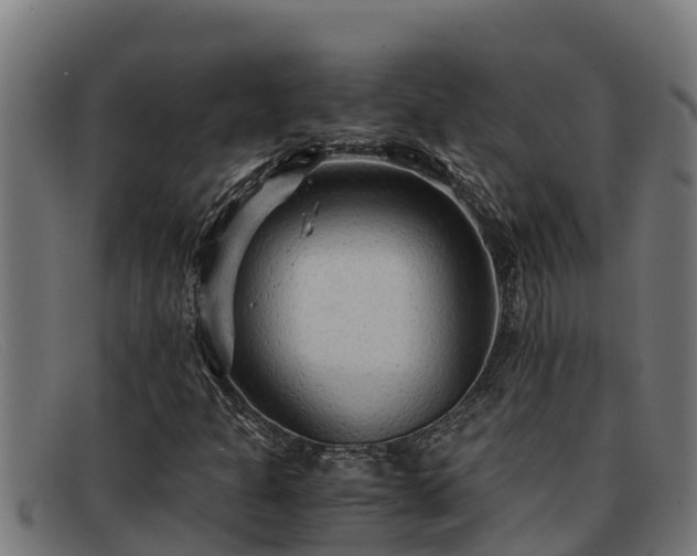 X0000091861301200709121322