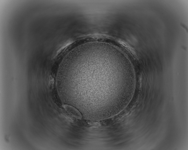 X0000091861302200709121322