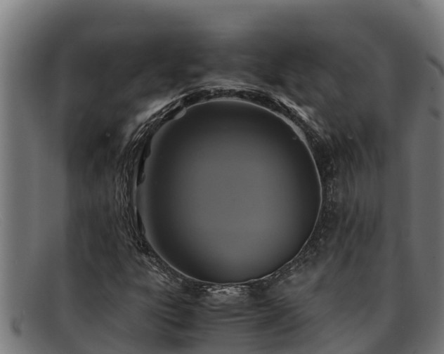 X0000091861303200709121322