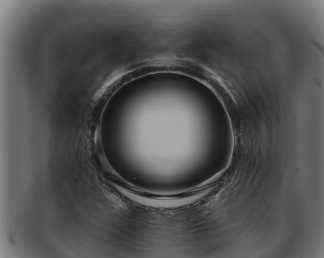 X0000091861304200709121322