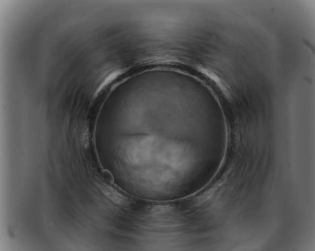 X0000091861306200709121322