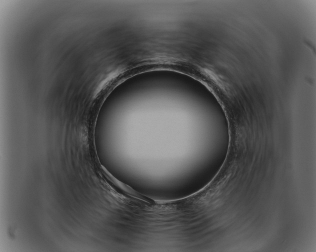 X0000091861307200709121322