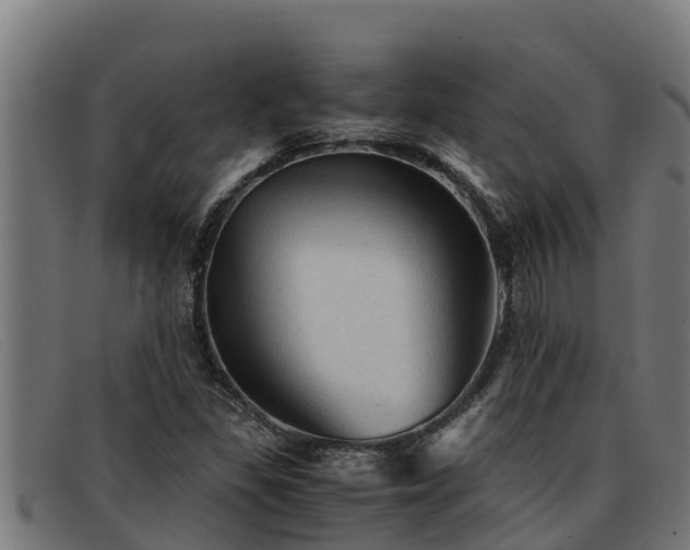 X0000091861309200709121322