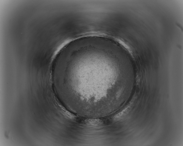 X0000091861310200709121322