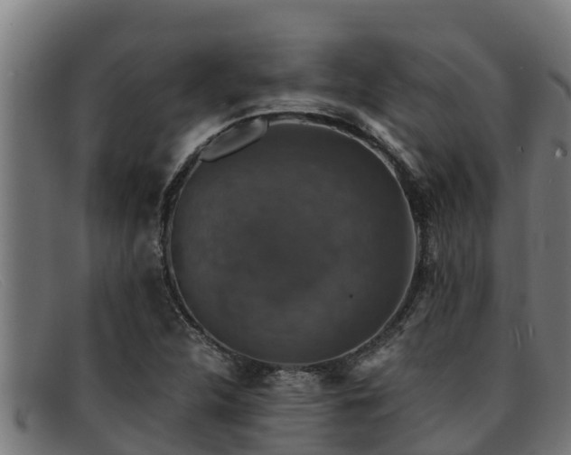 X0000091861312200709121322