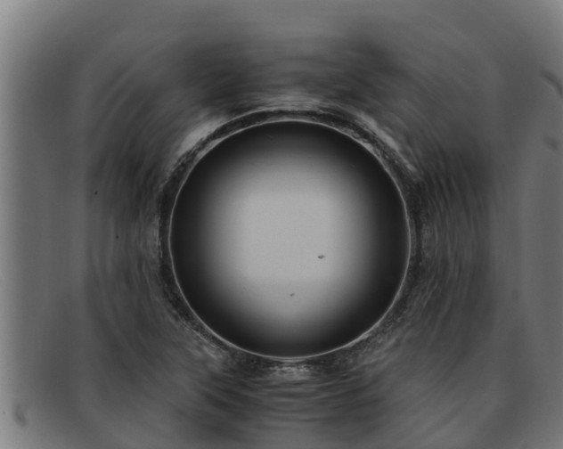 X0000091861315200709121322