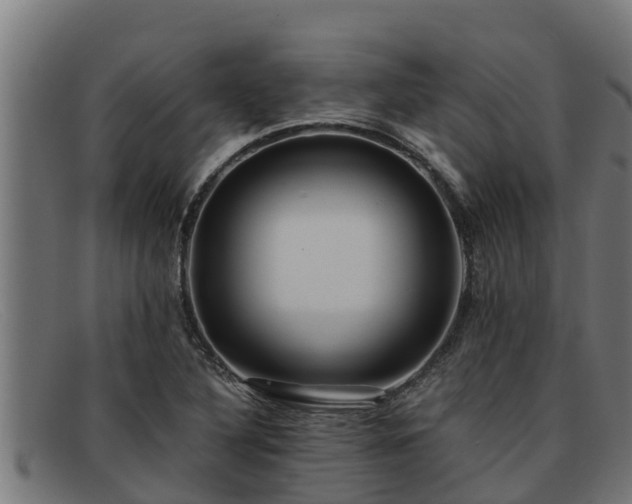 X0000091861316200709121322