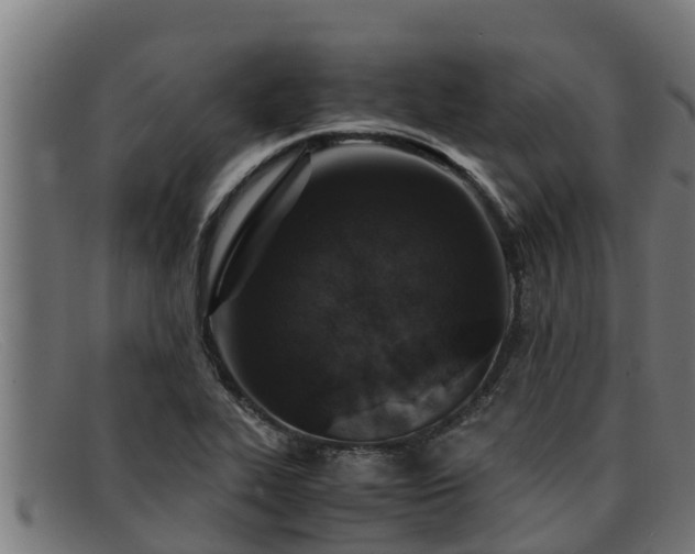 X0000091861319200709121322