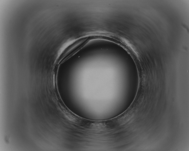 X0000091861320200709121322