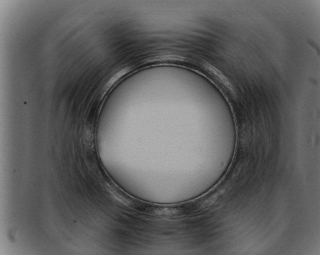 X0000091861321200709121322