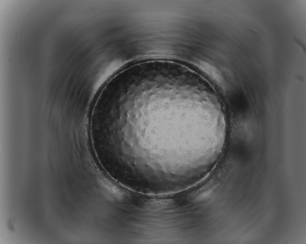 X0000091861325200709121322