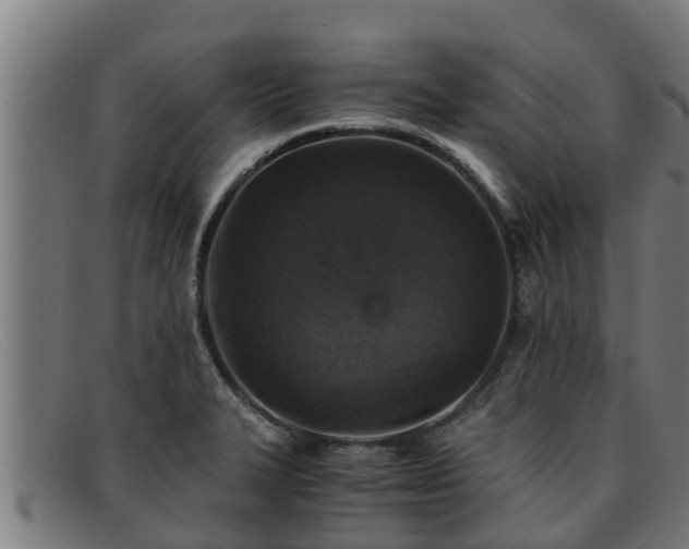 X0000091861327200709121322