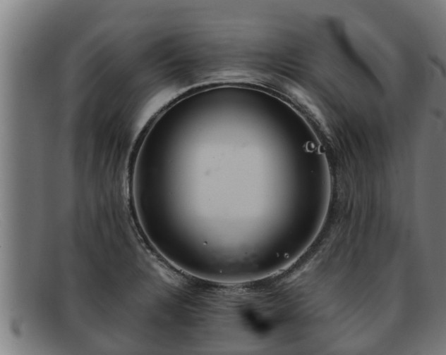 X0000091861328200709121322