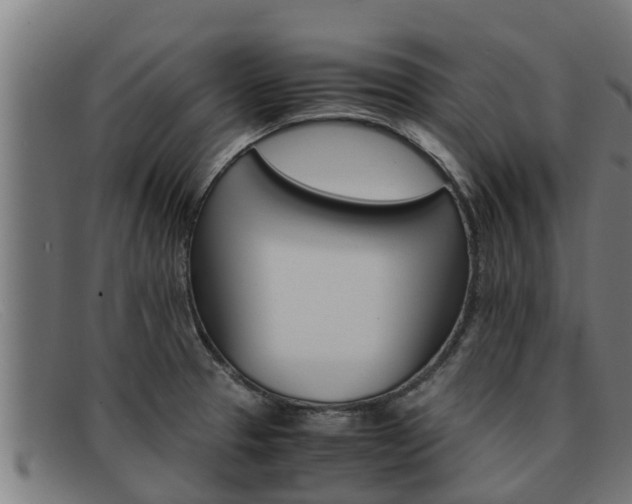 X0000091861329200709121322