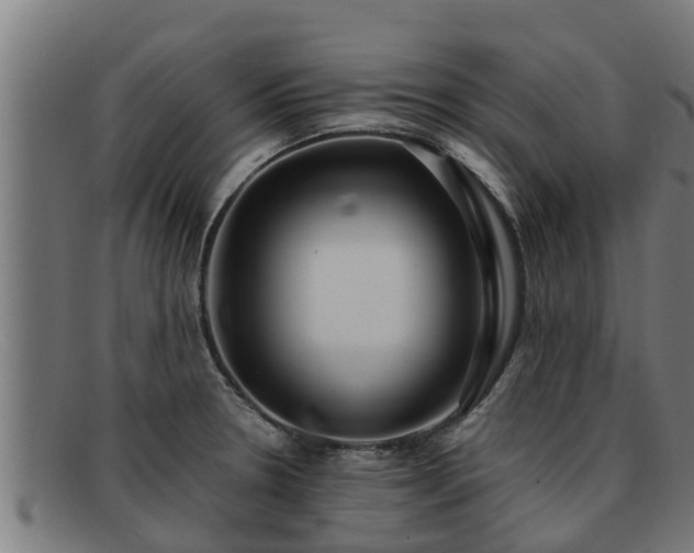 X0000091861330200709121322