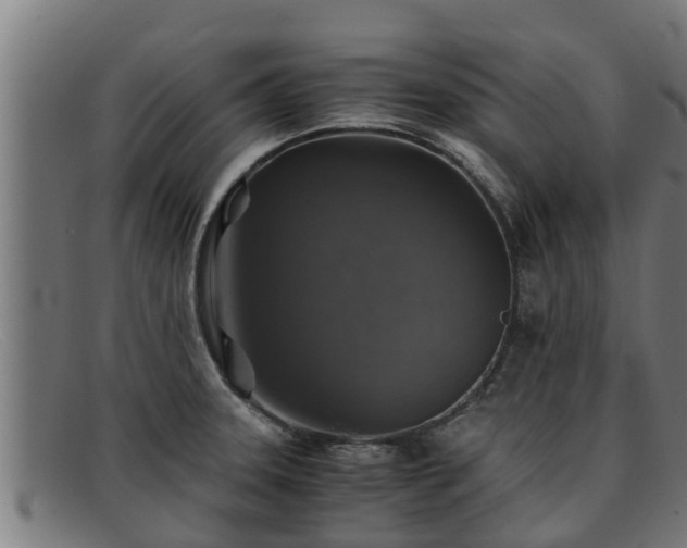 X0000091861331200709121322