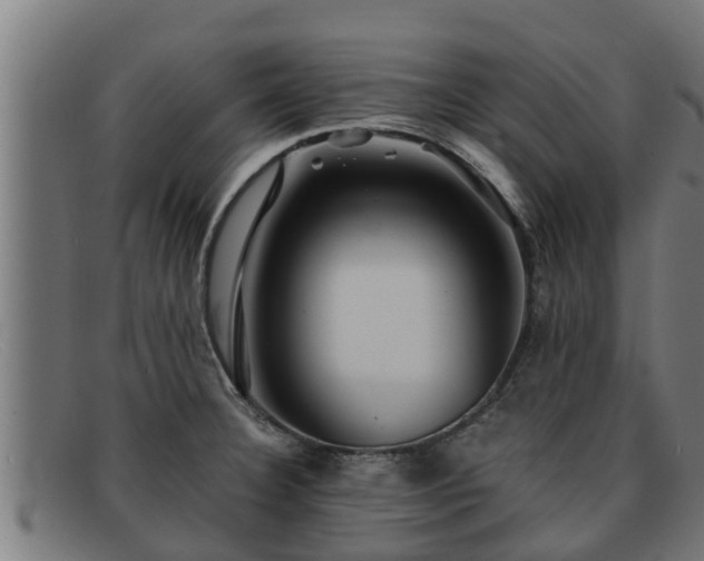 X0000091861332200709121322