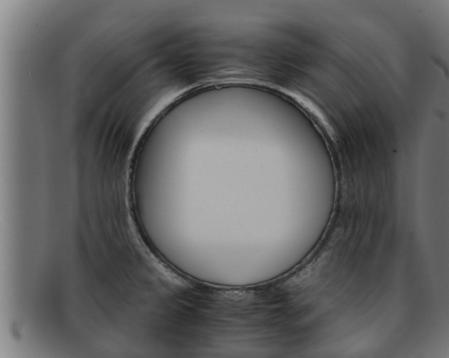 X0000091861333200709121322