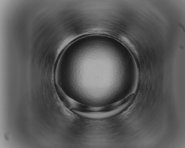 X0000091861336200709121322