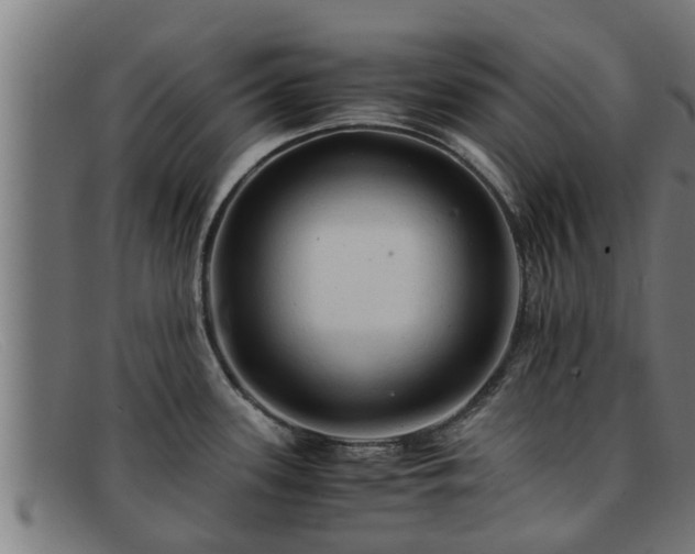 X0000091861339200709121322